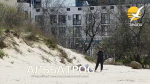 🌊 Дельфин спокоен, а птицы странные… Не мазут ли в воде? Анапа, 12 апреля 2026 🐬⚠️