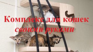 Комплекс для кошек своими руками