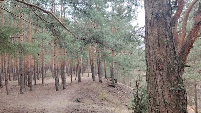 Жадность к деньгам. Мутные схемы и игромания