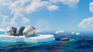 Морские Котики (SEALOOK) (299)