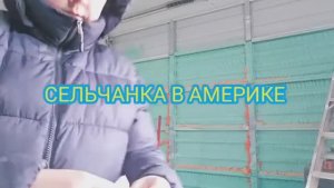 Сельчанка в Америке УБОРКА ОГОРОДА ПОЧЕМУ НЕ БУДЕТ БОЛЬШЕ ТЕПЛИЦИ