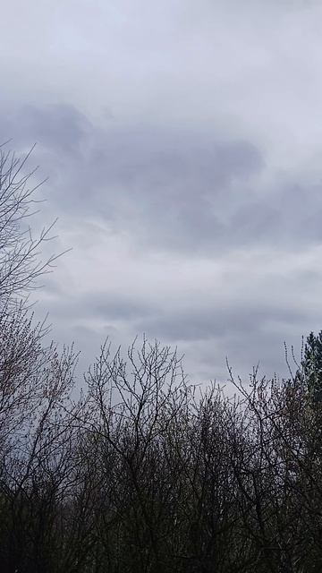 АПРЕЛЬ ОТ СЧАСТЬЯ  ПЛАЧЕТ...