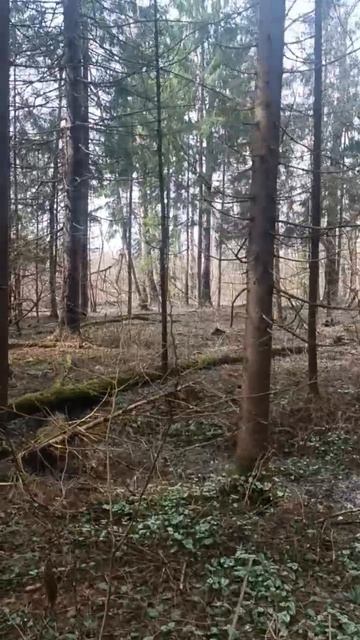 Участок на апушке