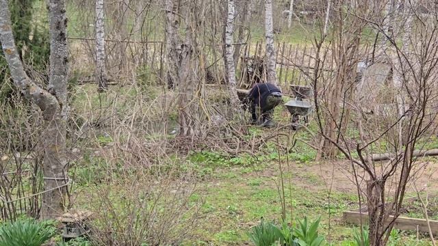 В Совином Доле переселение нимфей и маленькая похитительница костей