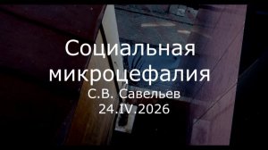 С.В. Савельев - Социальная микроцефалия