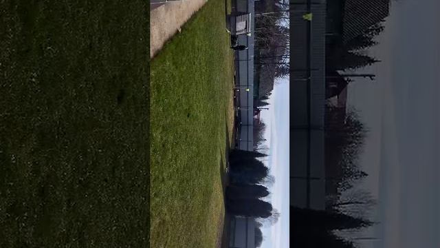 жарим на костре играем