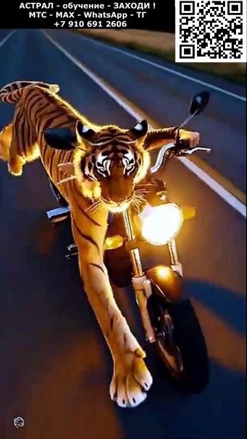 Красивая девушка из Астрала. Женская Магия ИИ. Арт. нейросеть #магия #ИИ #нейросеть #AI #арт #подиум