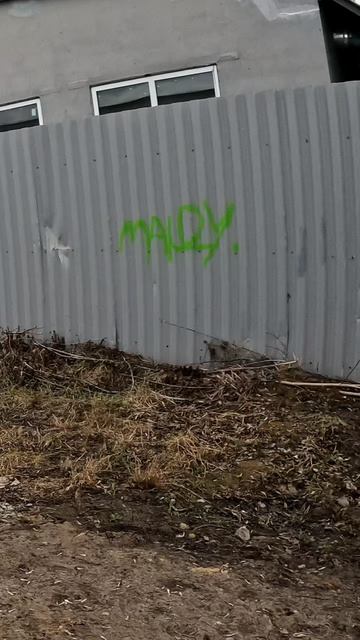 Акробасобачка