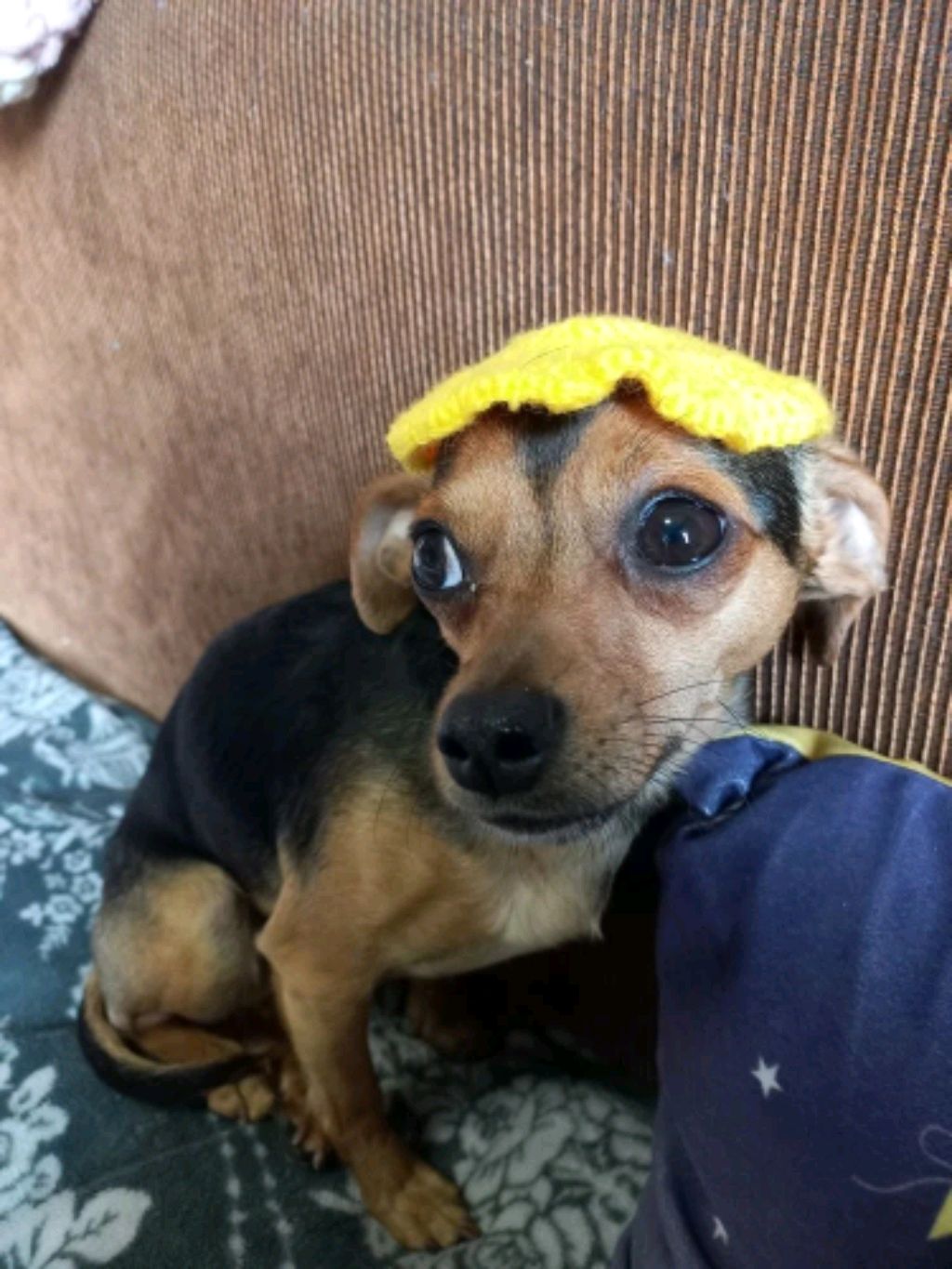 машины 🔥🔥