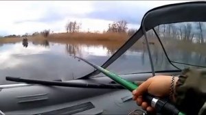 рыбалка река Бушма 2026 2.04.