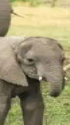 Minecraft_ 1.17.1 - Одиночная игра 2026-04-19 19-38-00