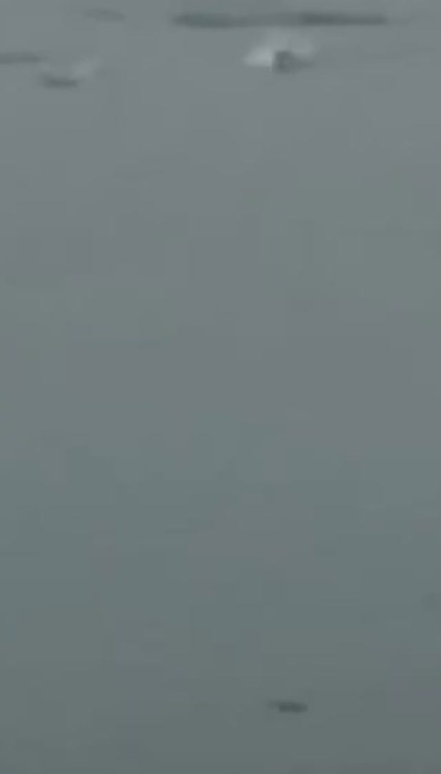 19 апреля ДЕЛЬФИНЫ НА КЛЕОПАТРЕ. ТУРЦИЯ 2026.