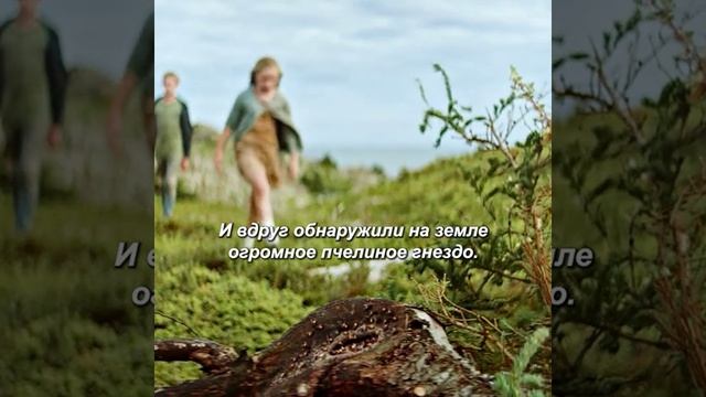 хороший фильм на вечер