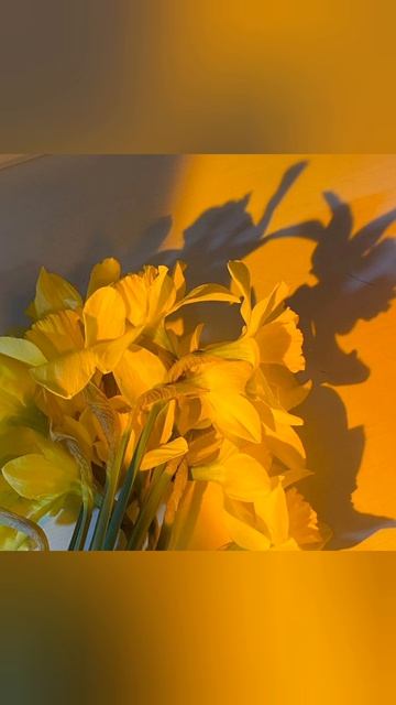 YouCut - Video Editor