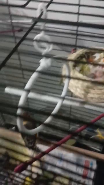 милашки ♥️(ждём ещё 3 )