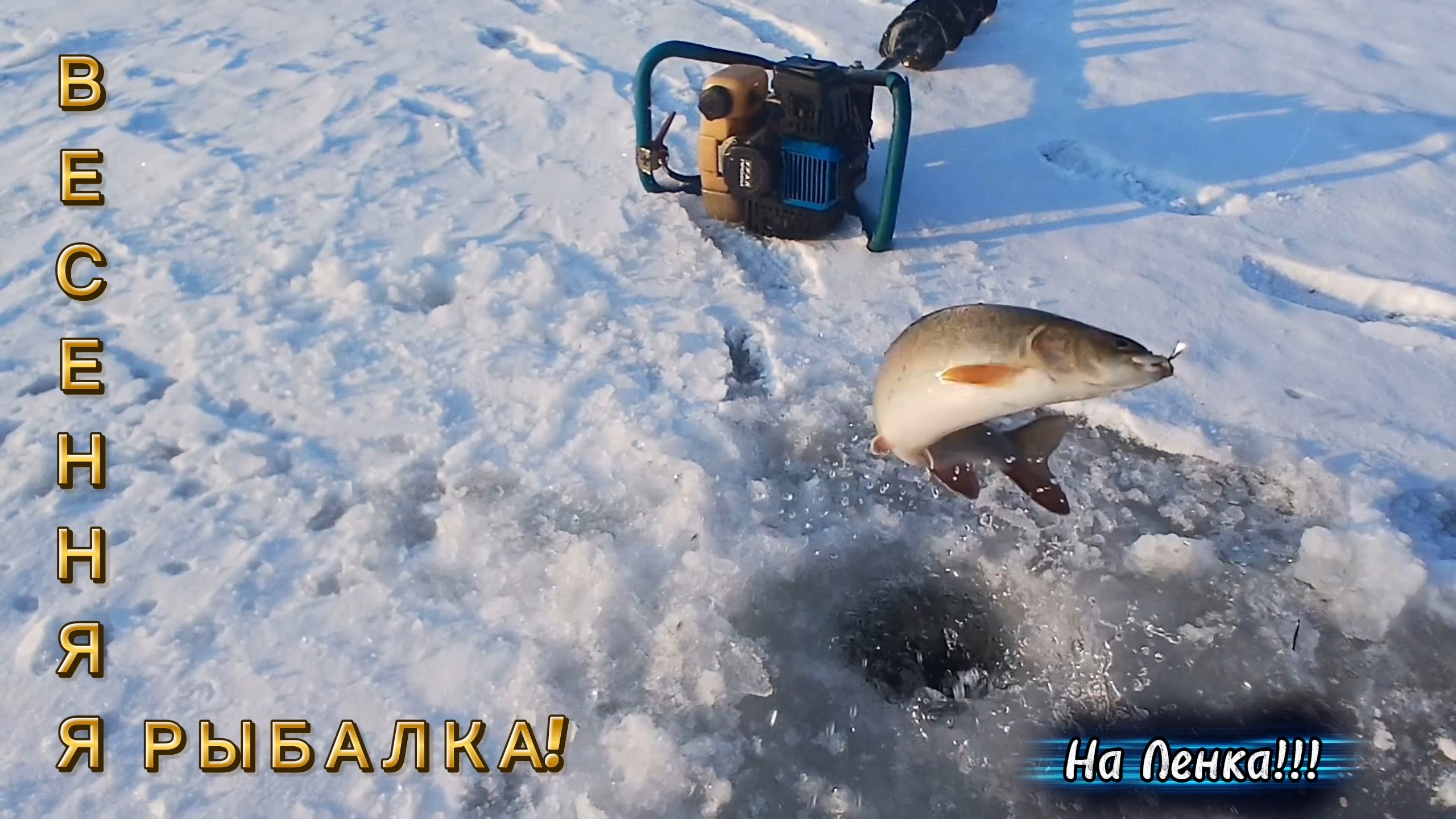 Весенняя Рыбалка в Апреле! На ЛЕНКОВ!!!