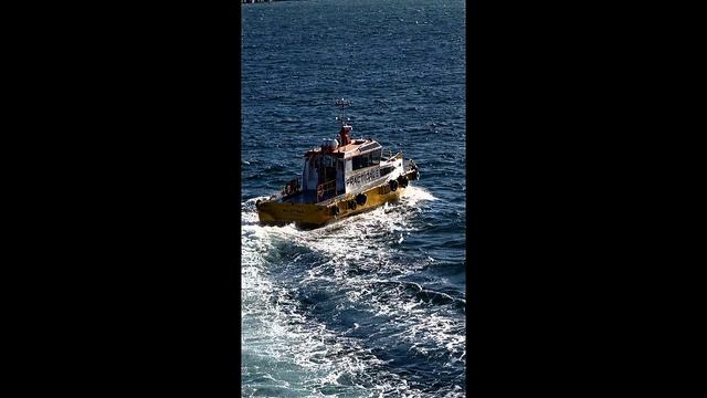 катер Пилот