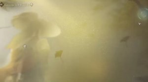 Добро пожаловать!!!