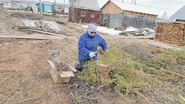 Пересадила цветы.