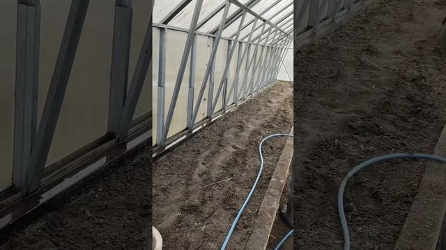 Зелёная дача оживает! Срочная обрезка малины и шок-терапия для чеснока / Теплица блестит