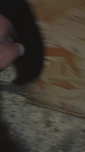 готовим пашот с Арчи