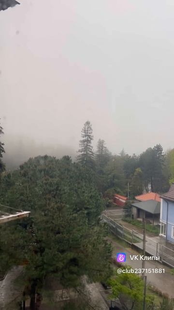 Я вся в тумане 🤣