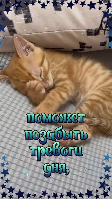 Пожелать тебе спокойной ночи