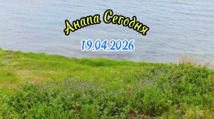 Анапа Сегодня 19.04.2026