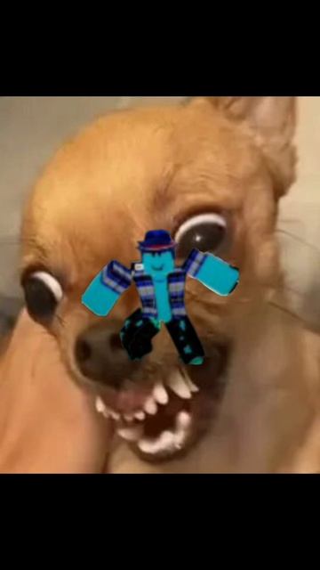 сорри за ленивое видео