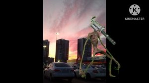 пулиметоголовый на закате.