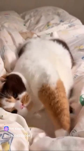 @SvetaAri@SvetaAri@SvetaAri@SvetaAri@SvetaAri@SvetaAri@SvetaAri@SvetaAri@SvetaAri@SvetaAri@SvetaAri@