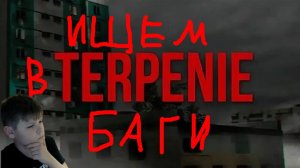 TERPENIE, но ищем баги.