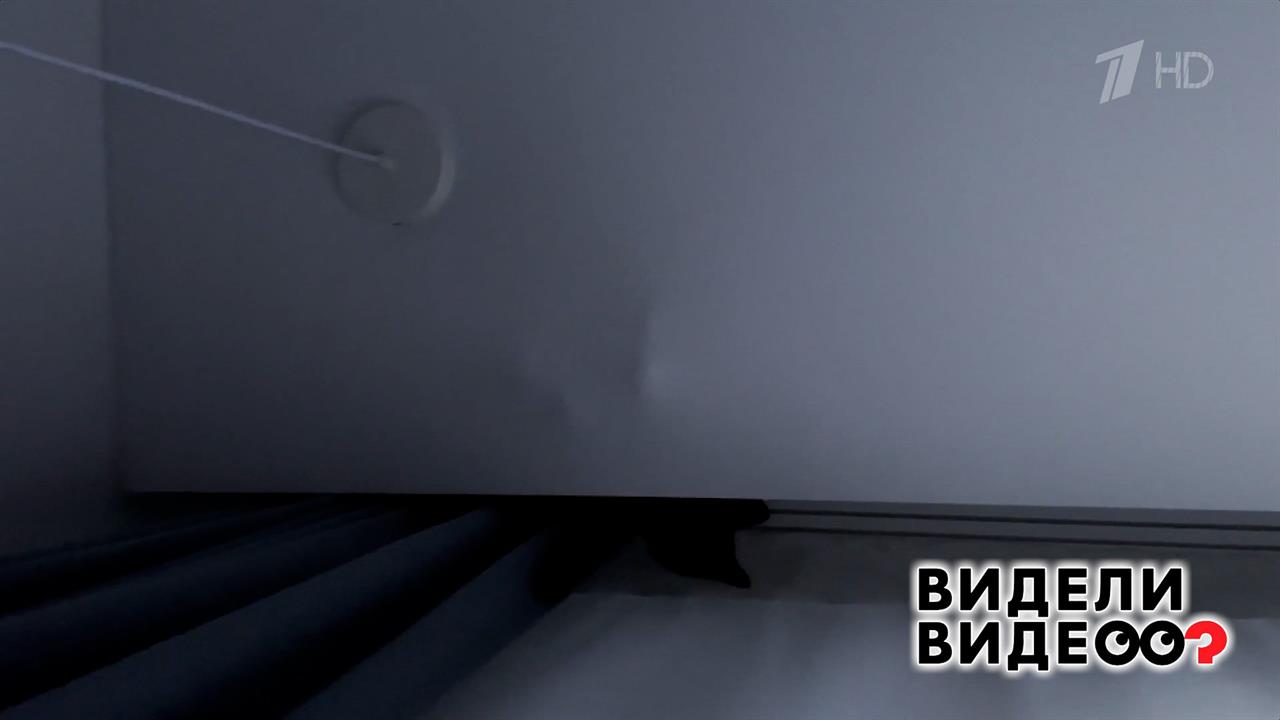 Кошка в натяжном потолке. Видели видео? Фрагмент выпуска от 05.04.2026