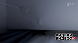 Кошка в натяжном потолке. Видели видео? Фрагмент выпуска от 05.04.2026