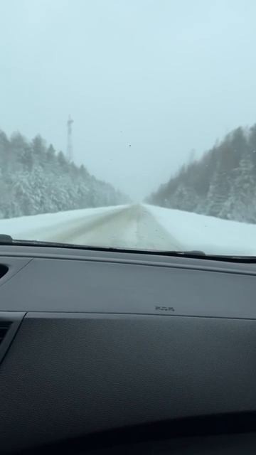 ⚡Снежный апокалипсис