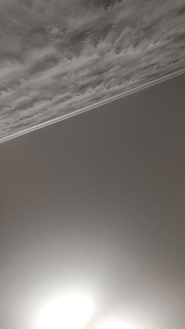 админ обьюз сегодня