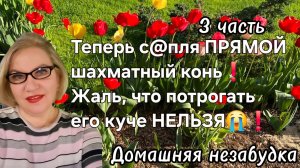 3 часть. Теперь с@пля ПРЯМОЙ шахматный конь❗️Жаль, что потрогать его куче НЕЛЬЗЯ ❗️