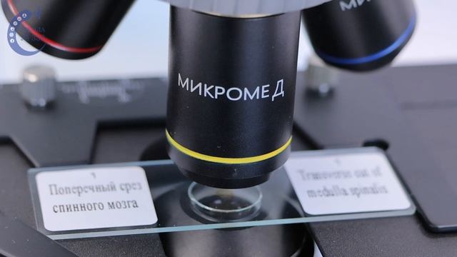 Техническое обеспечение школы №338