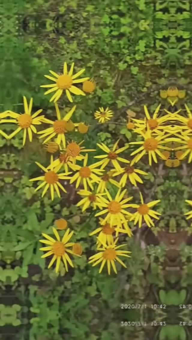 Архив 2020 г. (7)