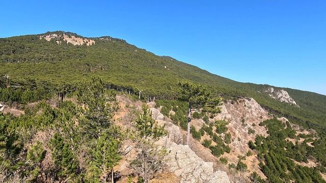 Крым, Ялта. Красивейший маршрут. Тропа Палласа и Никитская расселина.