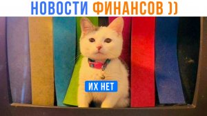 Денег тю-тю ))) Приколы с котами | Мемозг 1745