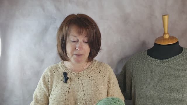 Футболка с круговой кокеткой 🧶 закончила.