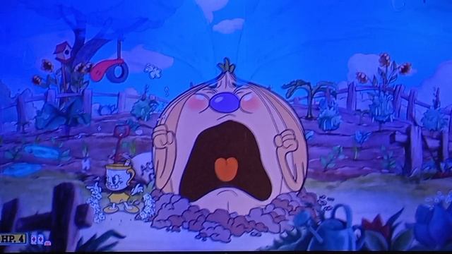 КАПХЕД ОВОЩЕБАНДА