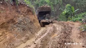 Странный лесовоз против бездорожья. Индонезия