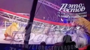 Тигр выпрыгнул с арены и побежал в зрительские ряды в цирке в Ростове-на-Дону.

Паблики пишут, что..
