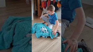 про кота 2