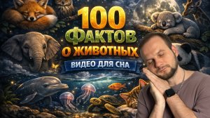 100 фактов  о животных . Видео для сна