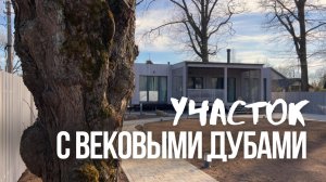 Благоустройство участка: 3 совета + обзор проекта с вековыми дубами