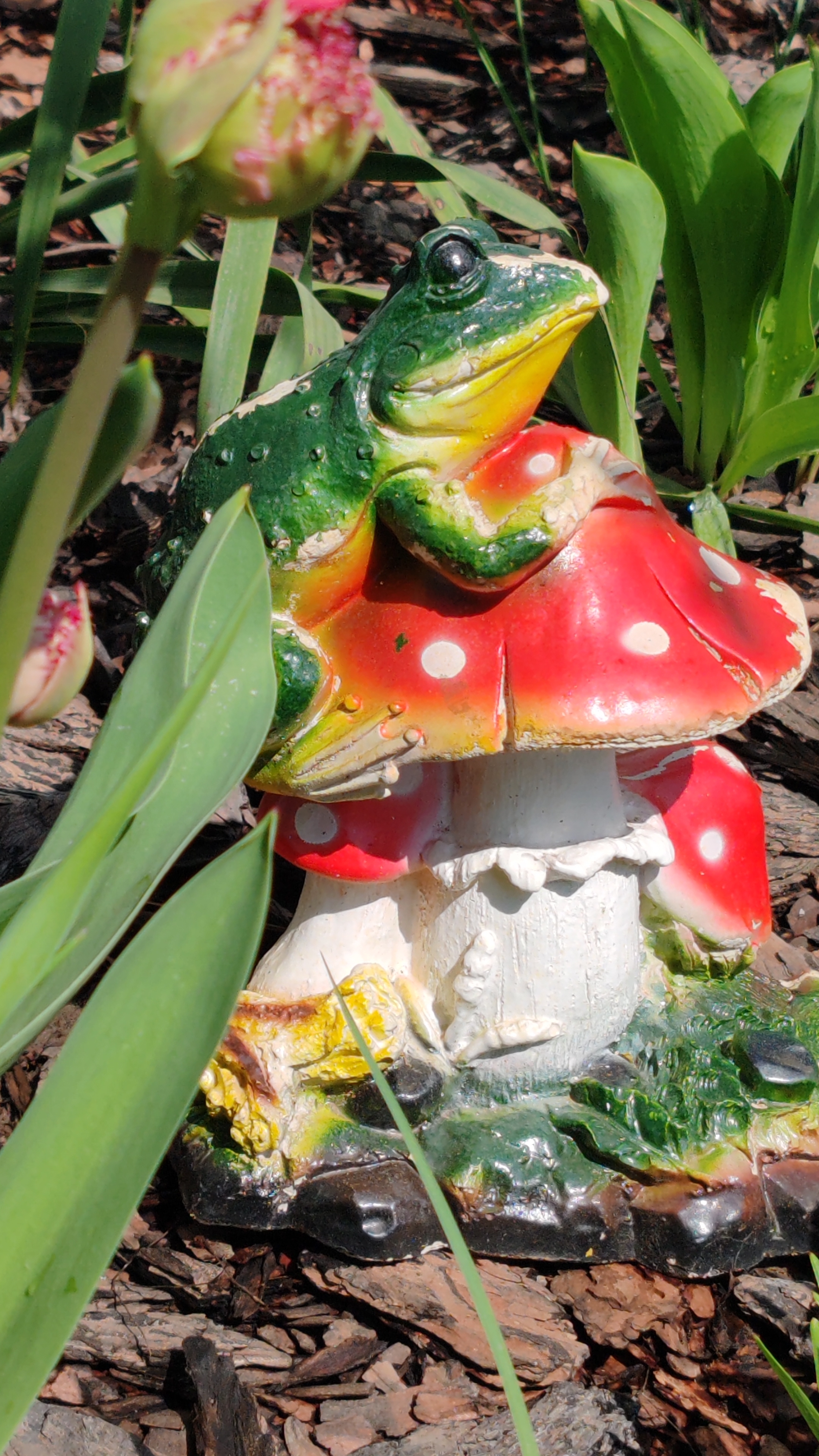 Клумба на даче 19-04-2026