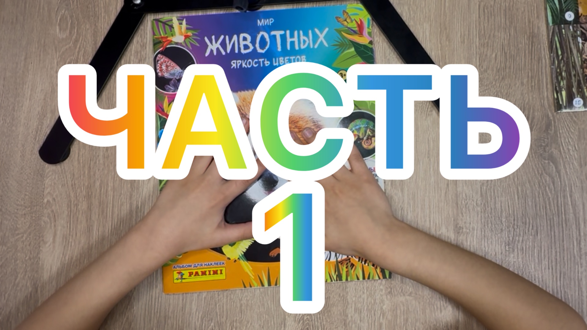 Журнал PANINI Мир животных 🌈 Яркость цветов!Вклеиваю 20пакетиков из 50